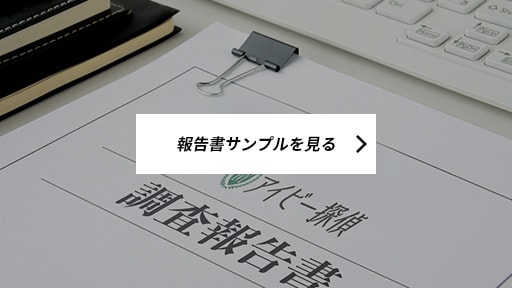 報告書サンプルを見る