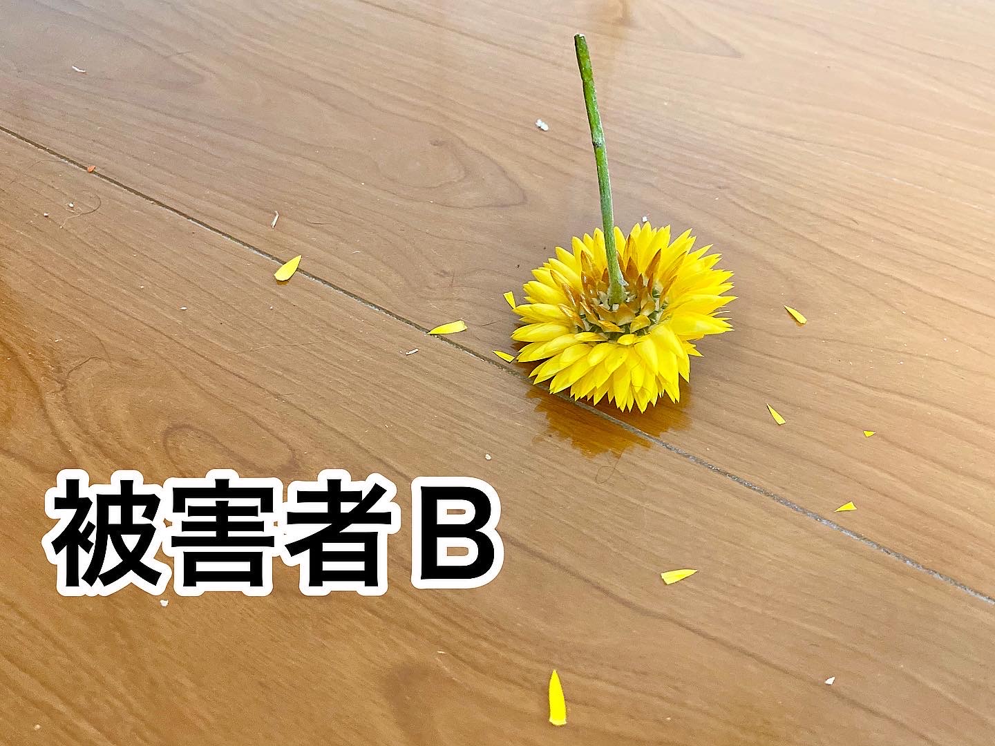 被害b