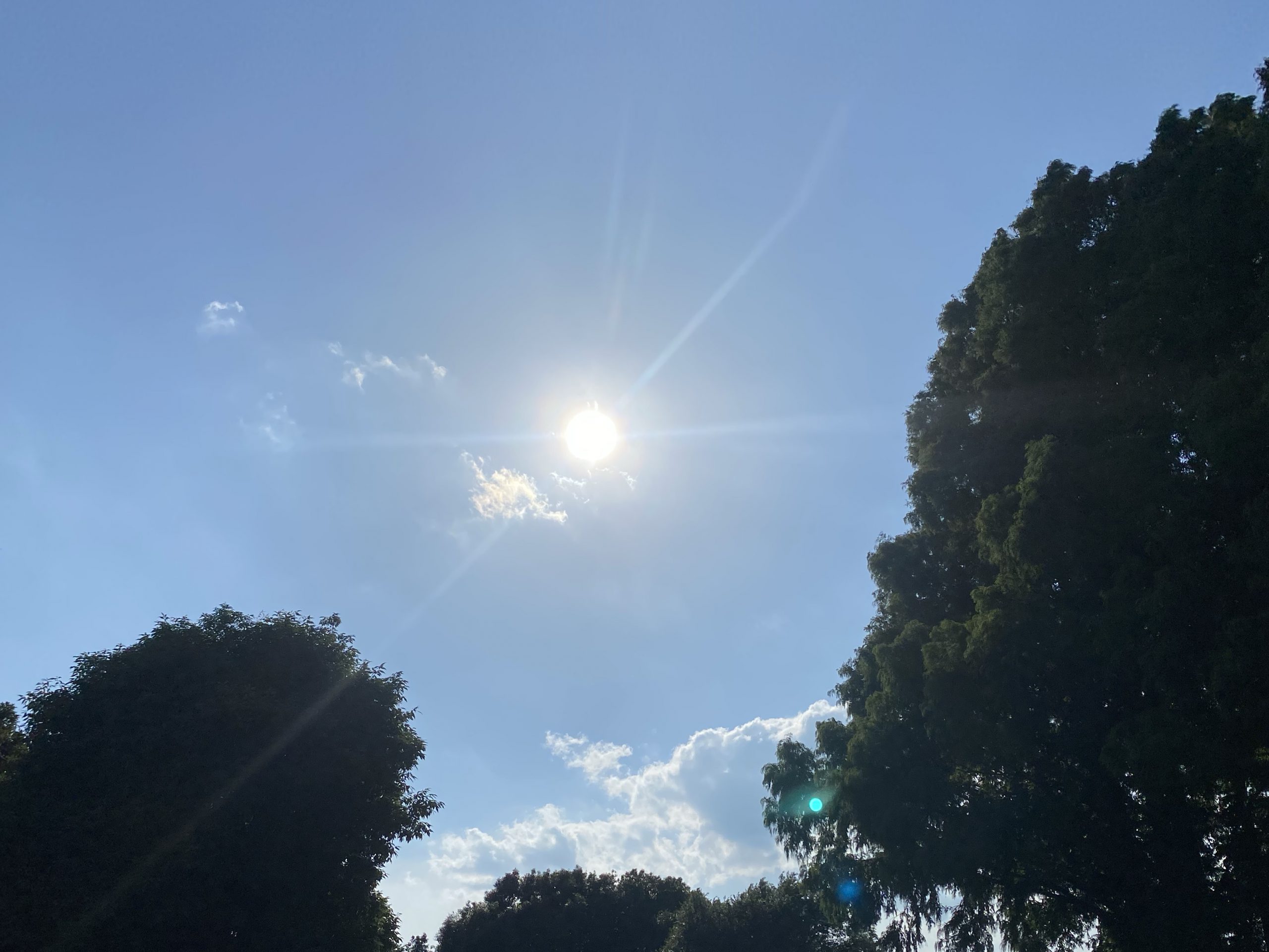 灼熱の太陽