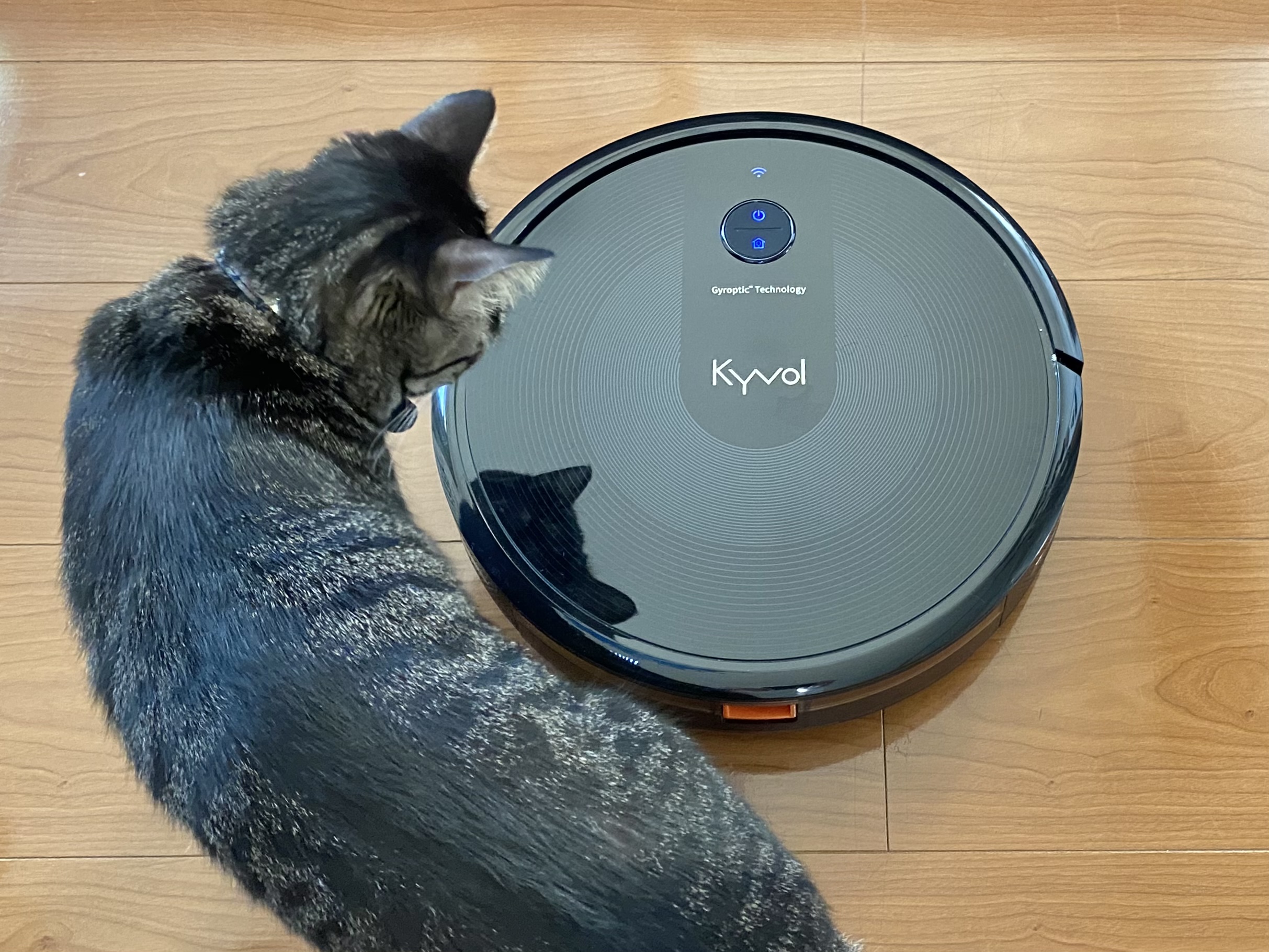 キーボルとにこ