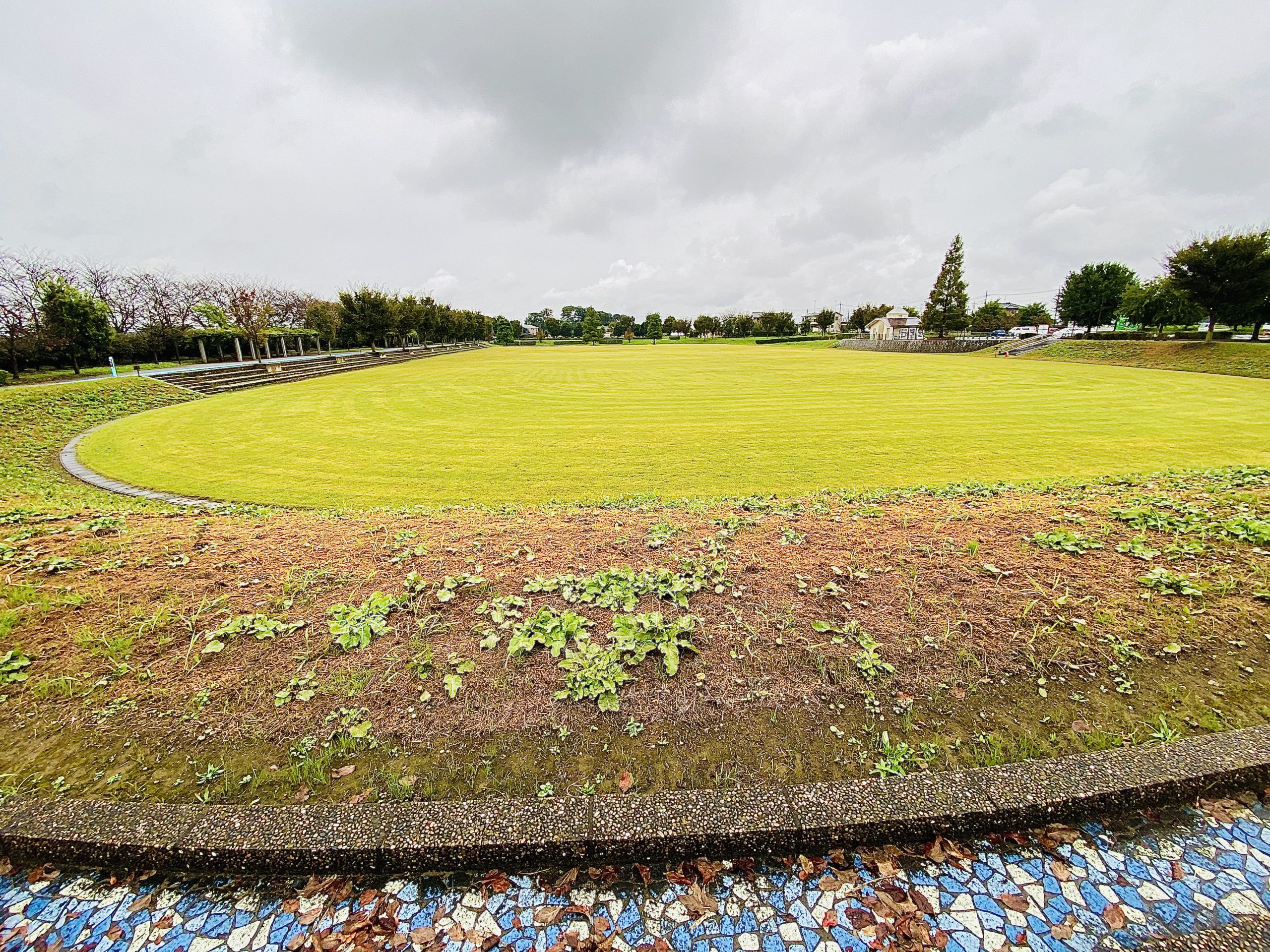 権現堂公園グラウンド