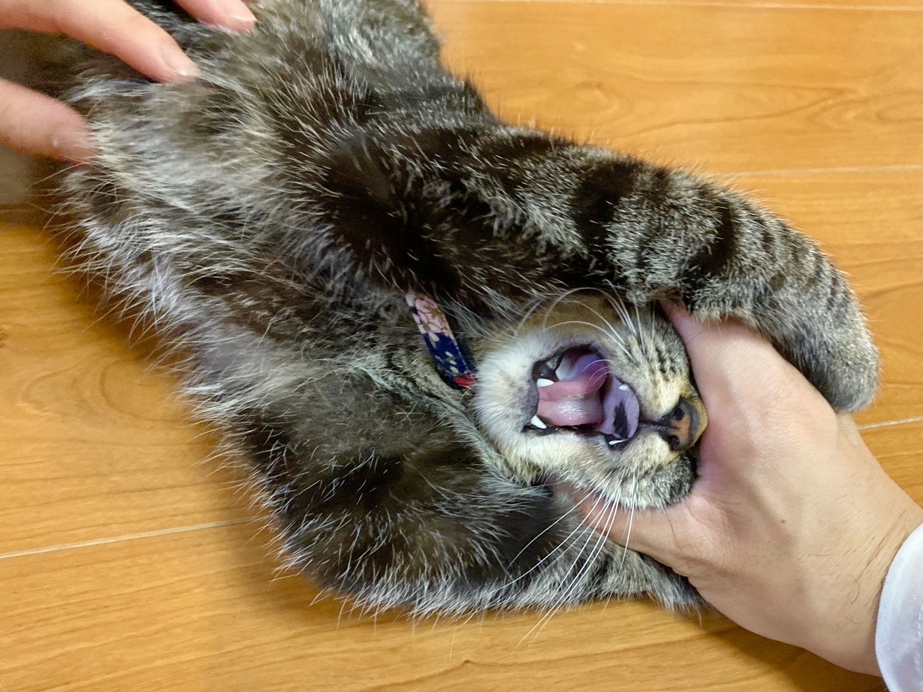 にこの顔面鷲掴み