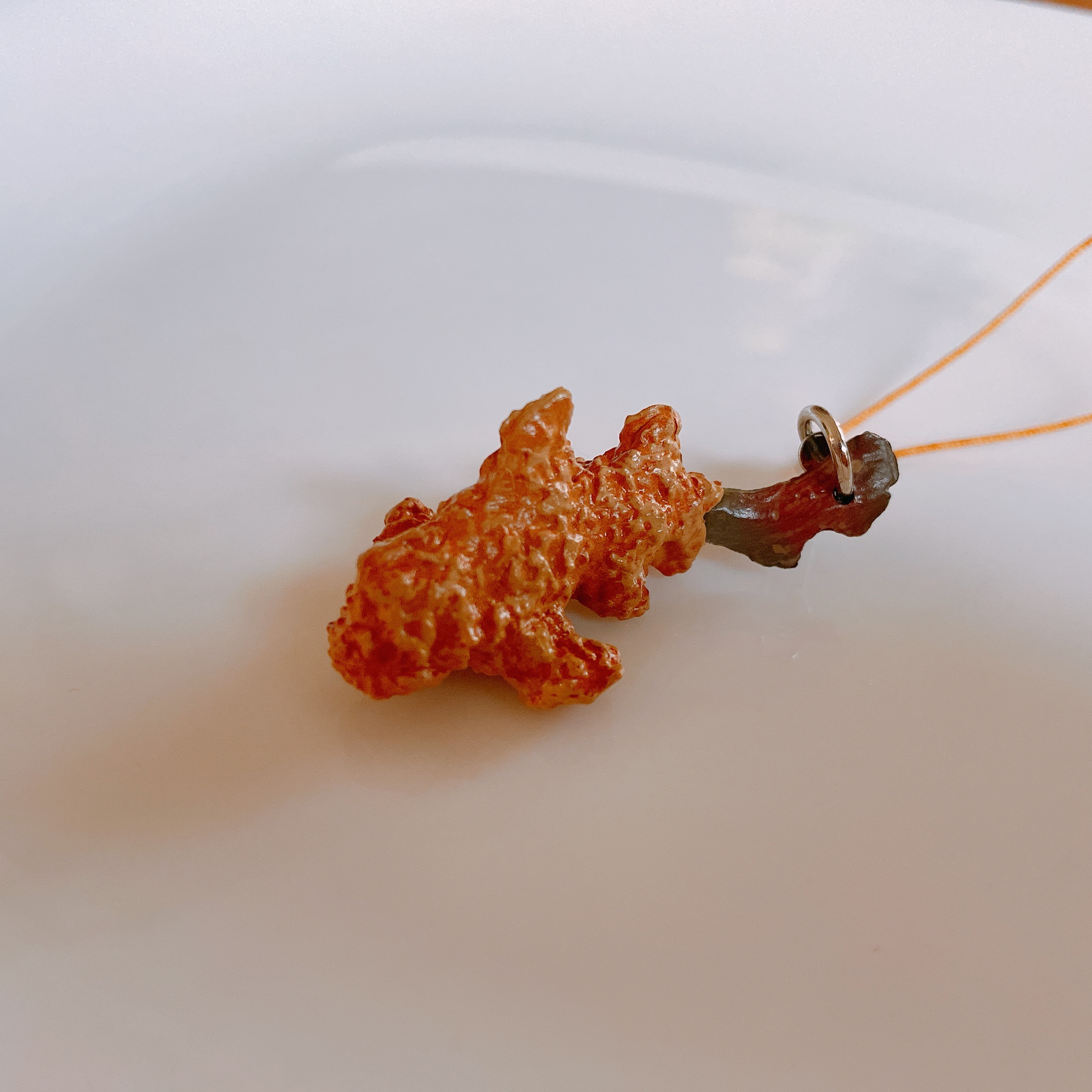 サメフライのネコザメ