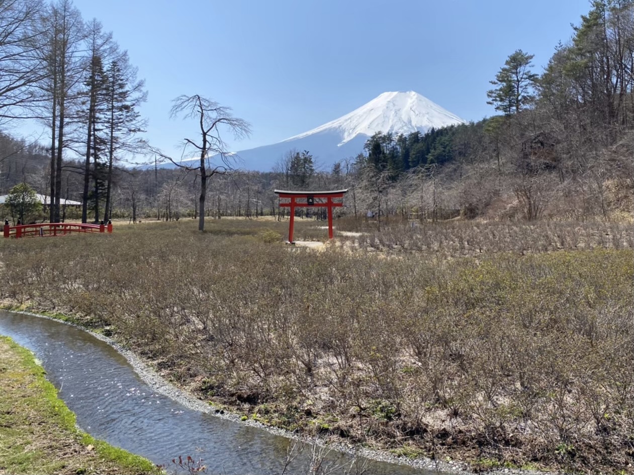 富士山