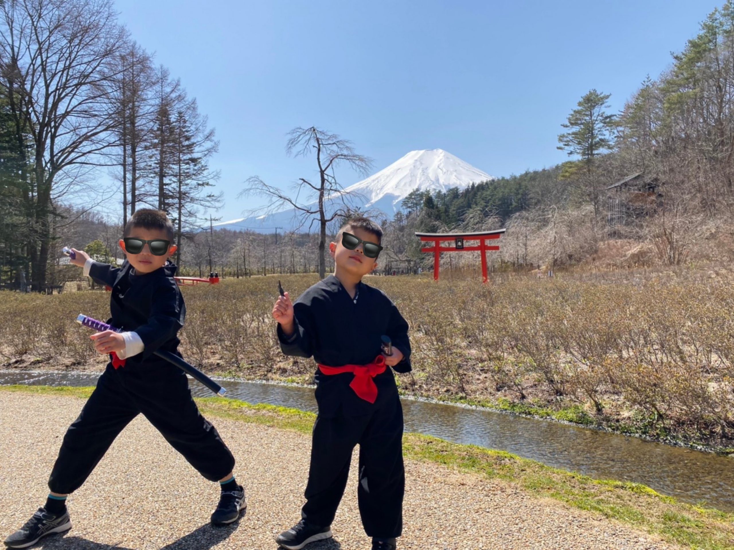 富士山と忍者