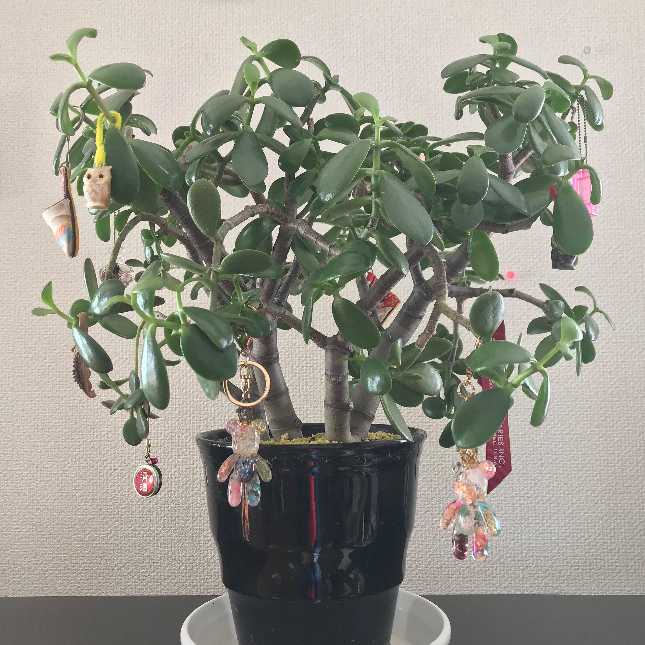 初代の花月