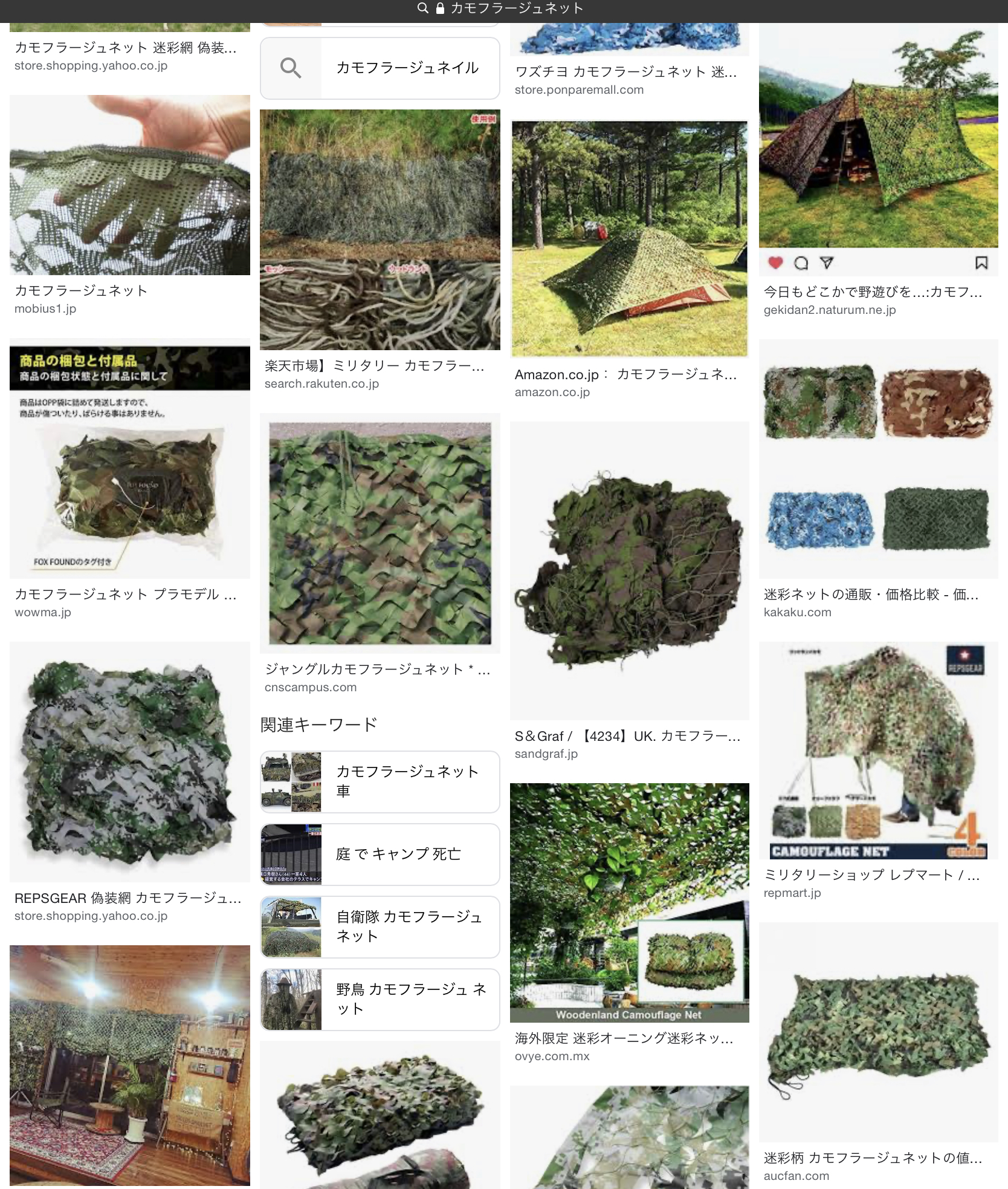カモフラネットの画像検索