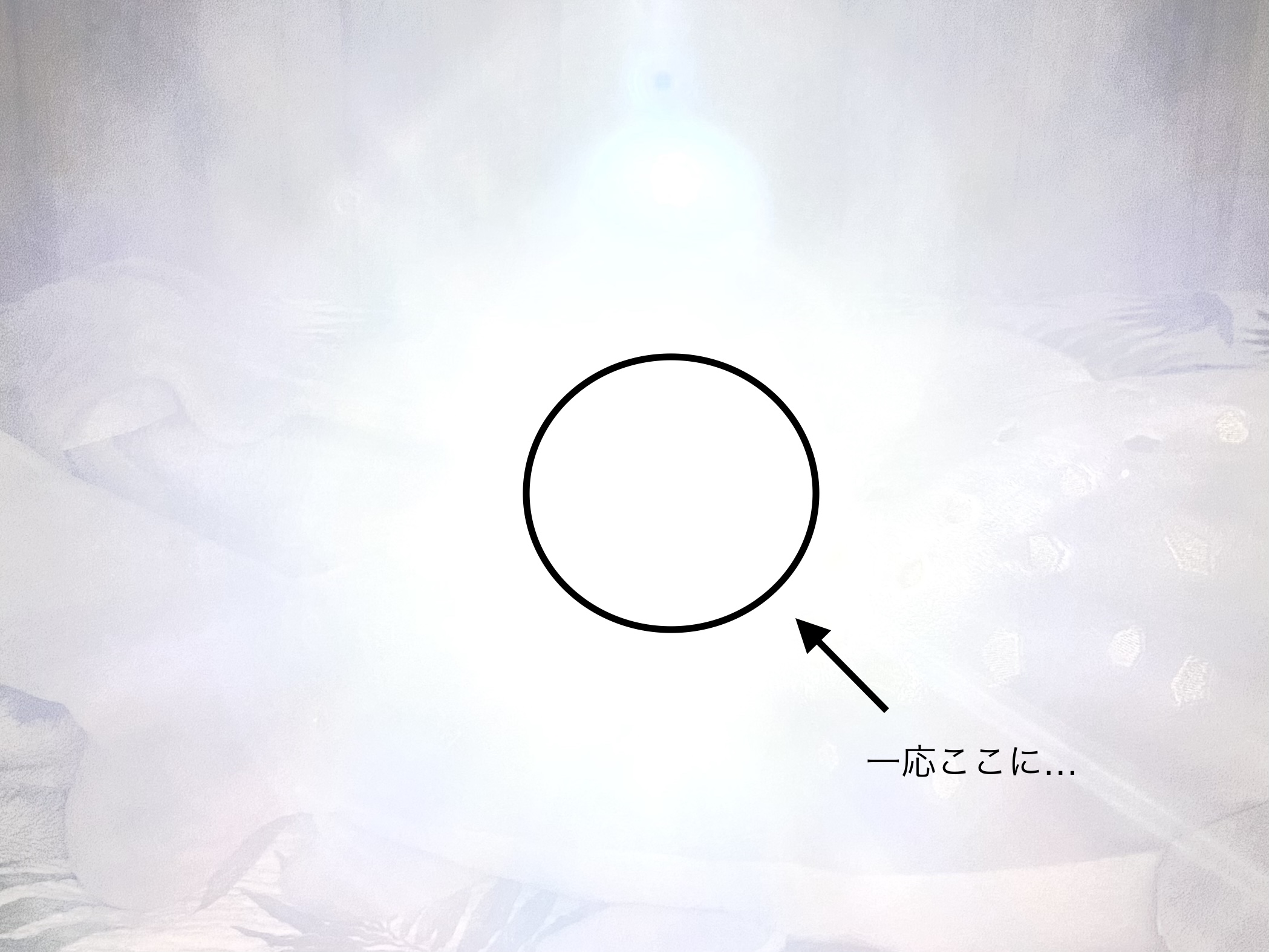 ウォリアーミニの照射（受け身）