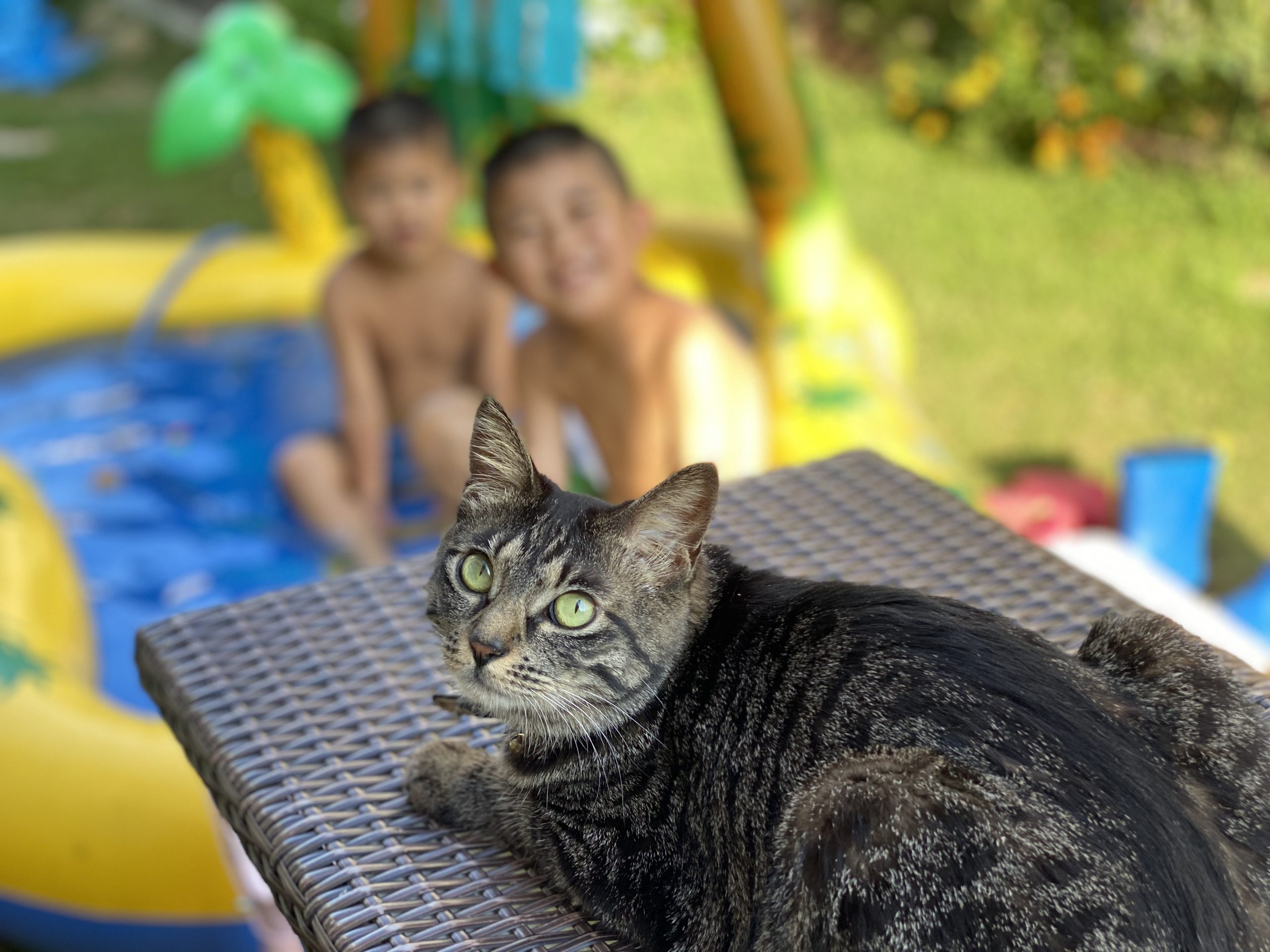 会長と子ども達のプール