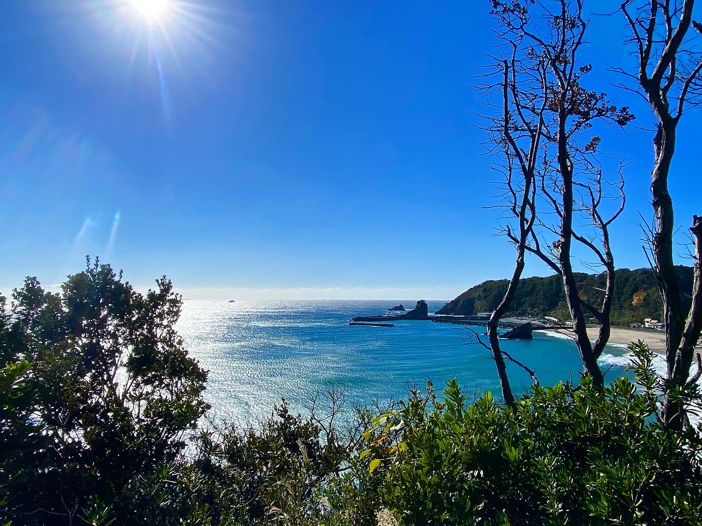 田牛の海