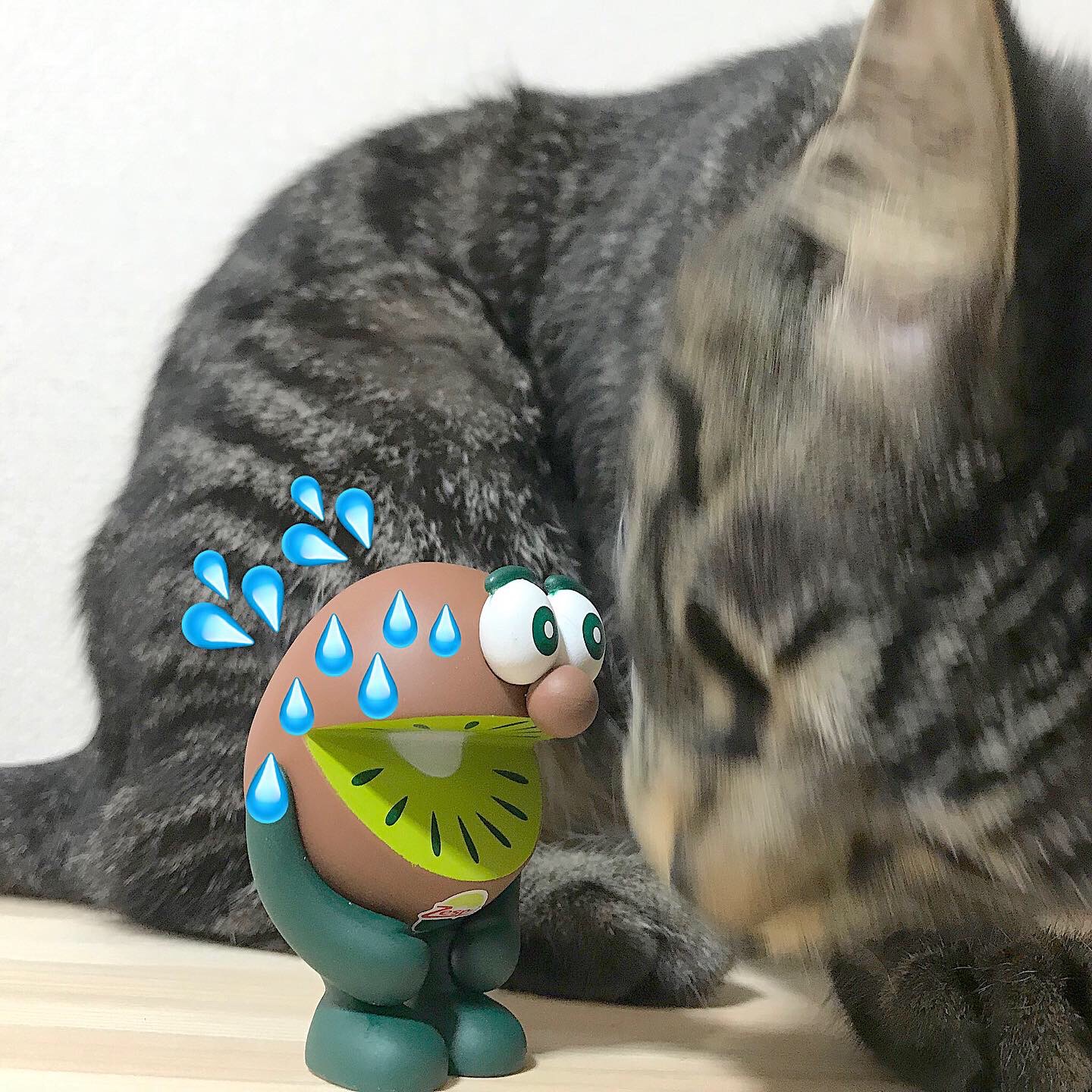 焦るゼスプリくん