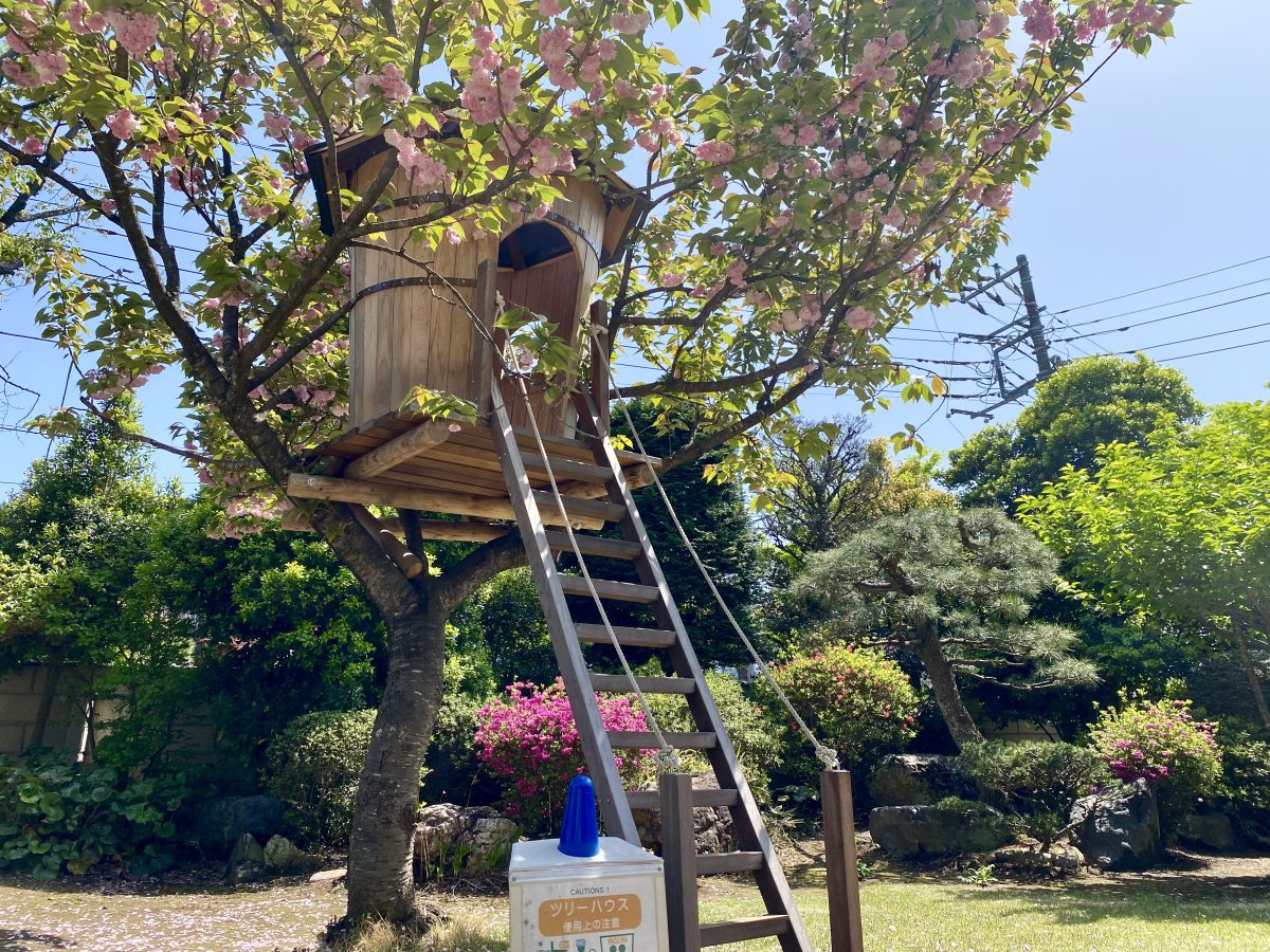 しょうゆパーク5