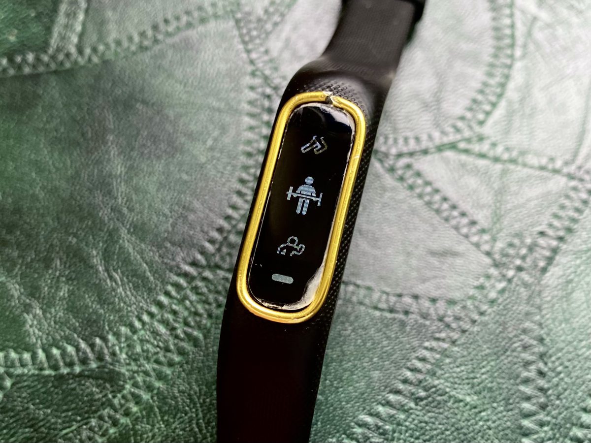 GARMINフィットネス機能