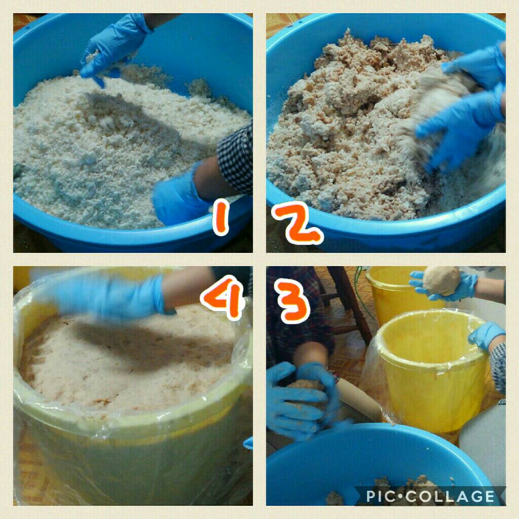 大豆造り2