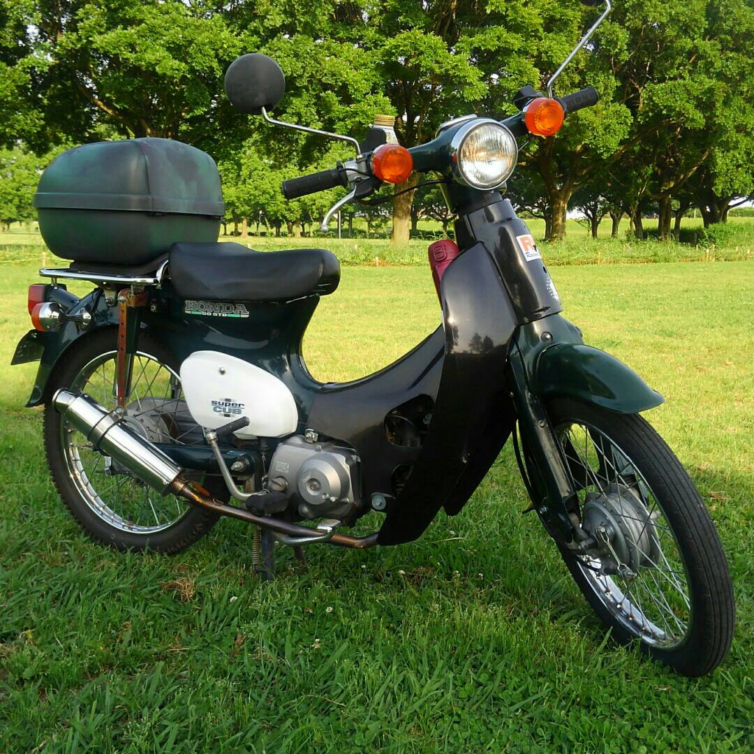 my Cub 2016