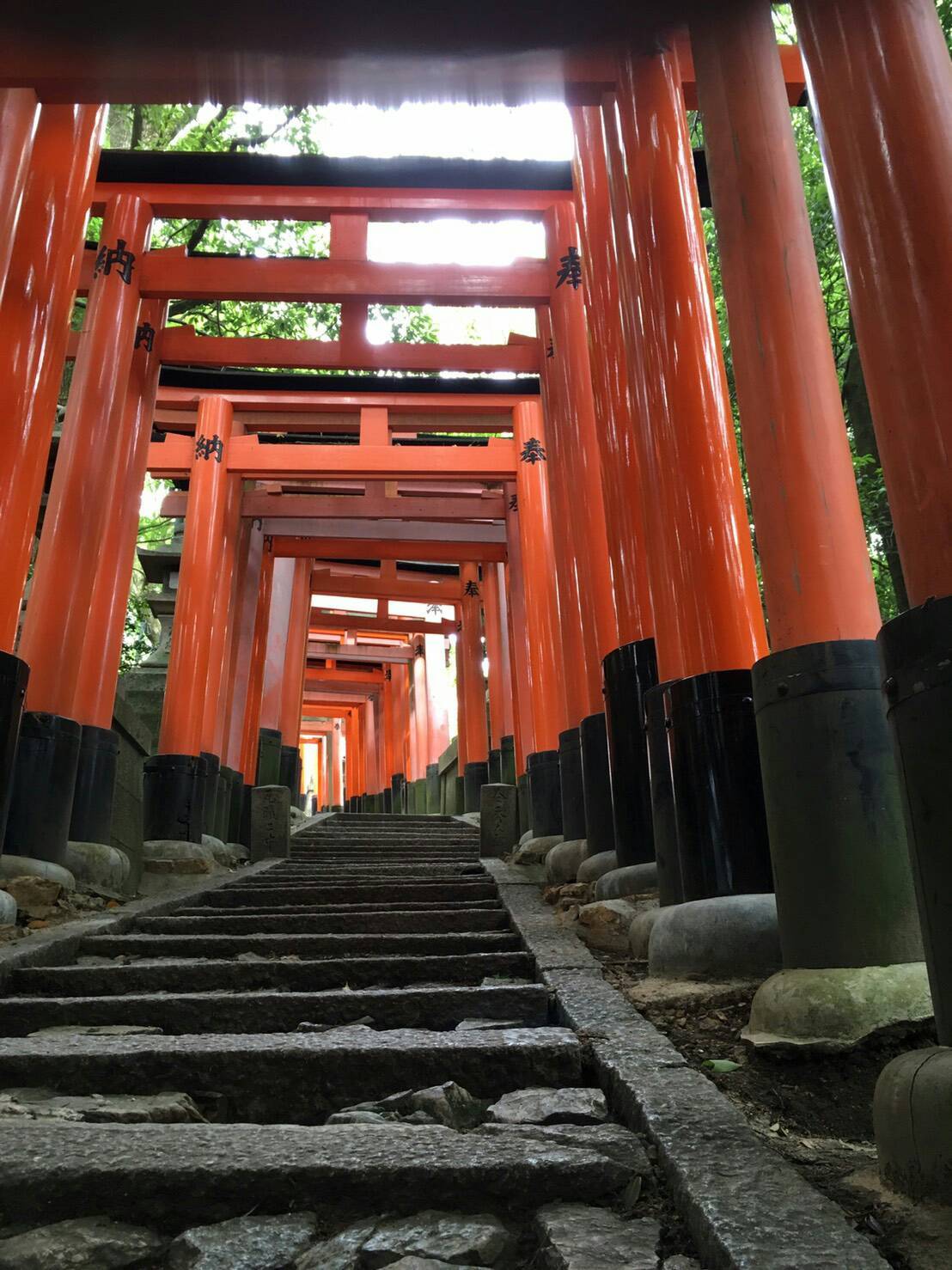 京都の神社 鳥居