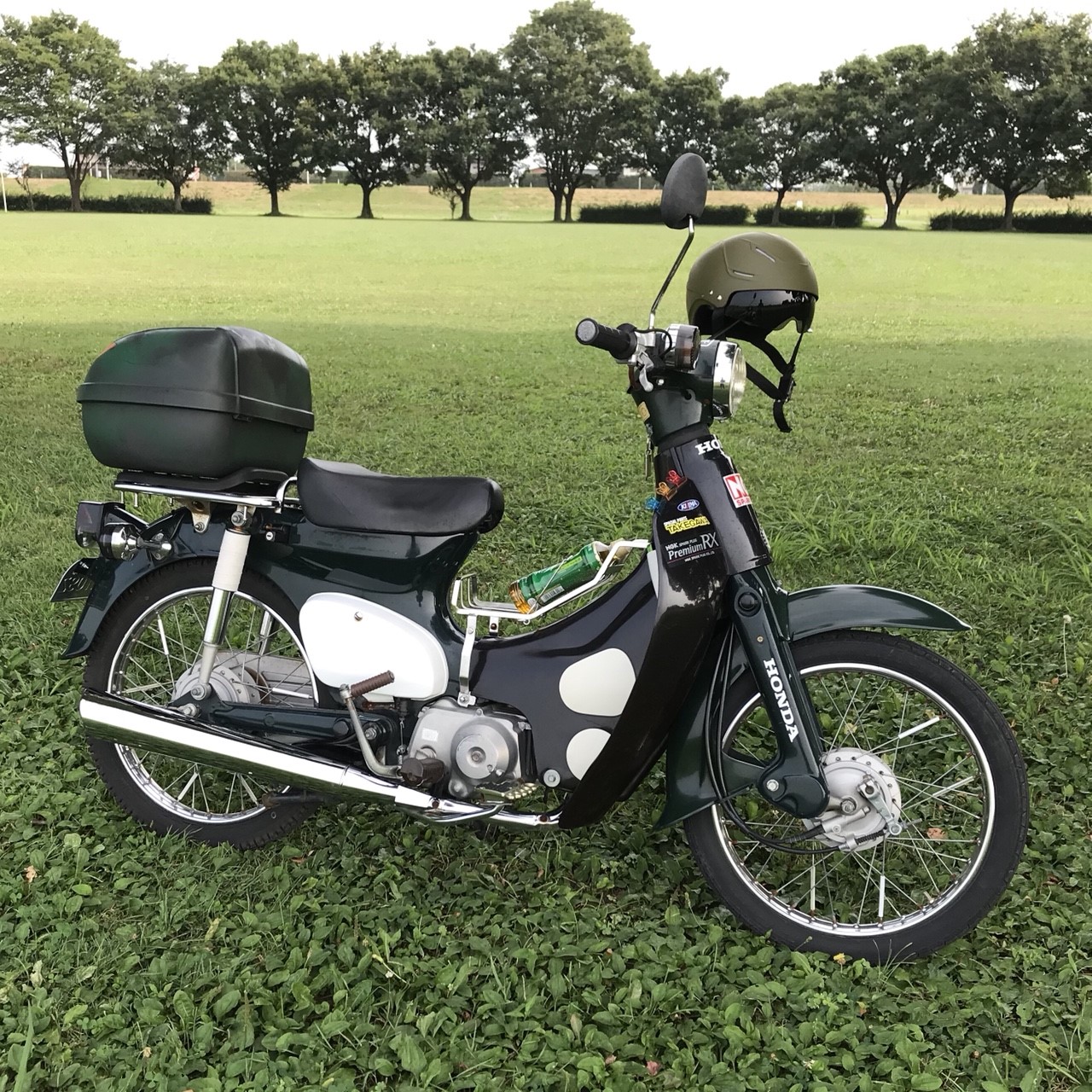 my cub 2018